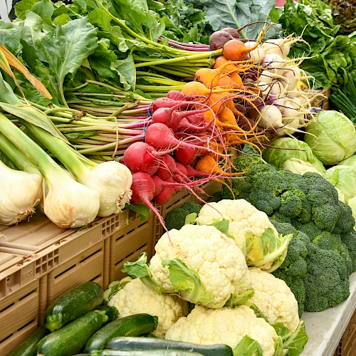 A colorful display of fresh vegetables: onions, radishes, carrots, broccoli, cauliflower, cabbage, and greens neatly arranged for sale.