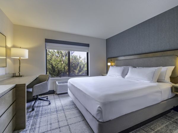 A modern hotel room with a large bed, desk, chair, lamp, and window overlooking trees, creating a comfortable and serene atmosphere.