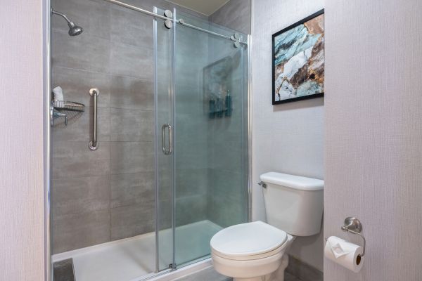The image shows a modern bathroom with a shower, glass doors, toilet, and wall art, and a toilet paper holder on the side.