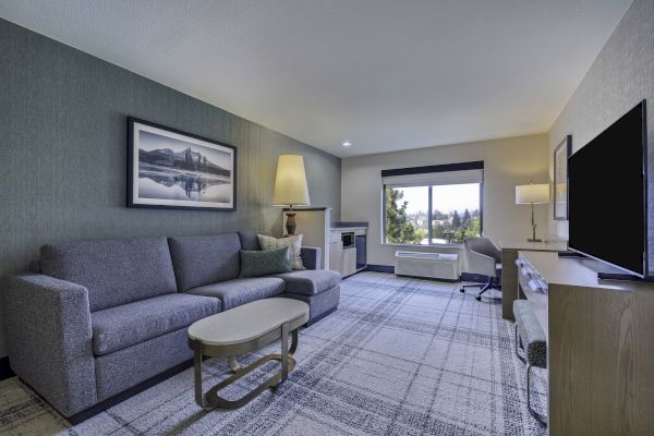 A modern hotel room with a couch, lamp, TV, and desk facing a window with a landscape view.