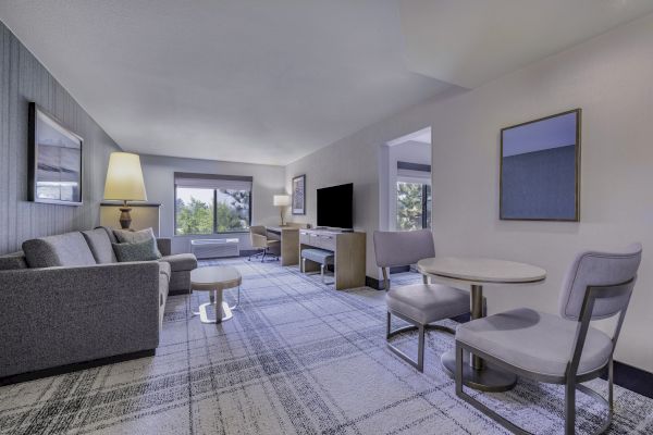 A modern living room with a gray sofa, TV, desk, small dining table, and large windows offering a view of trees.