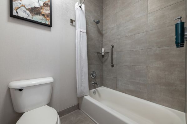 A bathroom with a toilet, bathtub with a shower and curtain, wall-mounted shampoo dispenser, grab bar, and framed wall art.