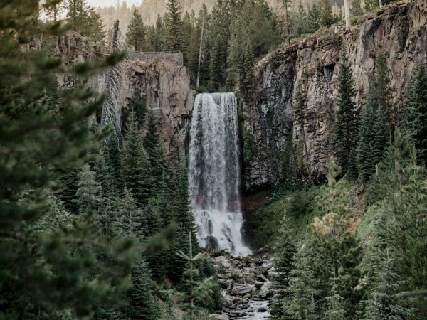 A waterfall cascades down a cliff surrounded by a dense forest and rocky terrain under a clear sky.