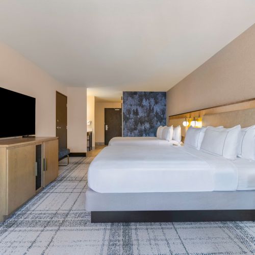 A hotel room with two beds, a TV, and modern decor on a patterned carpeted floor.