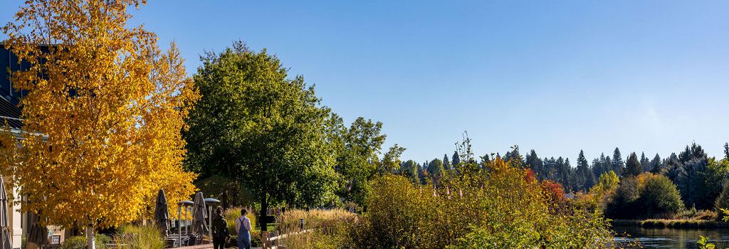 A sunny riverside path with orange and green trees, a wooden fence, and people strolling along the water under a clear blue sky.