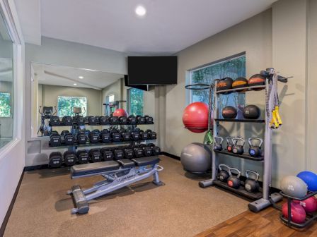 A gym room with dumbbells, a bench, stability balls, kettlebells, and exercise bands, featuring a wall mirror and a mounted TV.