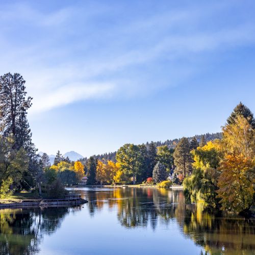 A tranquil lake mirrors golden autumn trees under a clear blue sky, with calm water and a peaceful park-lined shoreline.