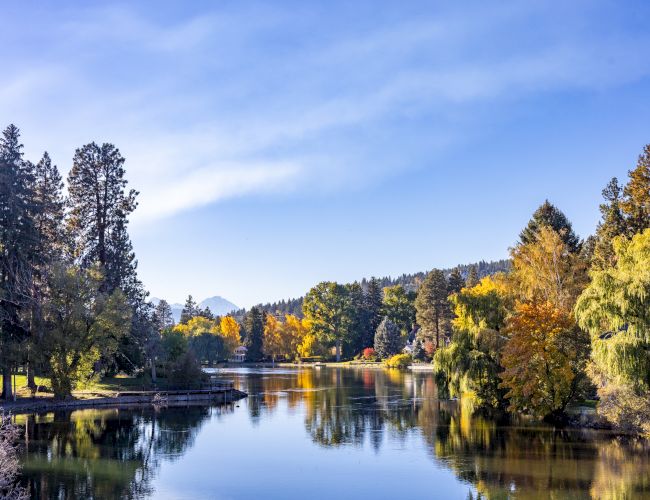 A tranquil lake mirrors golden autumn trees under a clear blue sky, with calm water and a peaceful park-lined shoreline.
