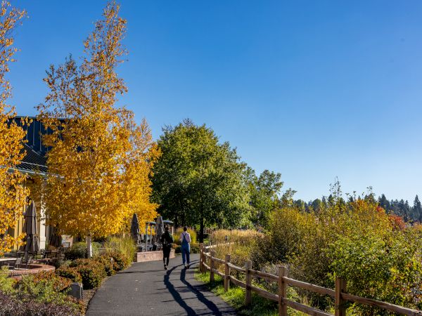 A sunny park path lined with autumn trees in yellow and green, a wooden fence, and a few people strolling along the trail under a clear blue sky.
