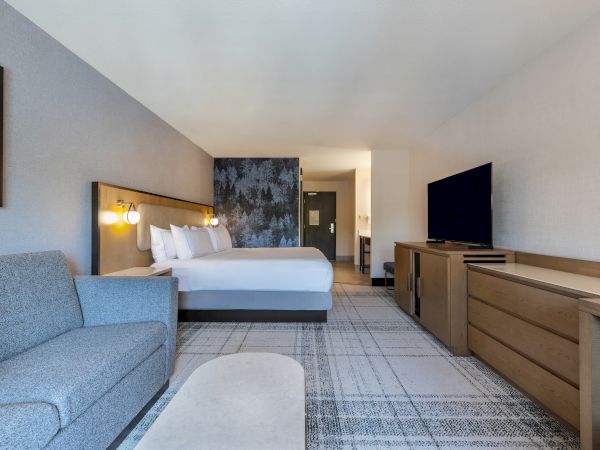 A modern hotel room with a king bed, gray sofa, patterned rug, wall art, a TV on a long wooden dresser, and a bright, clean layout.