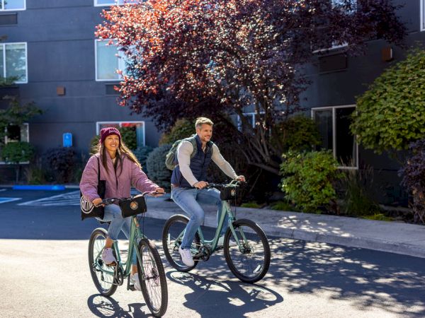 Two people ride teal bicycles along a sunny residential street, a man and a woman wearing jackets, trees and a building in the background.