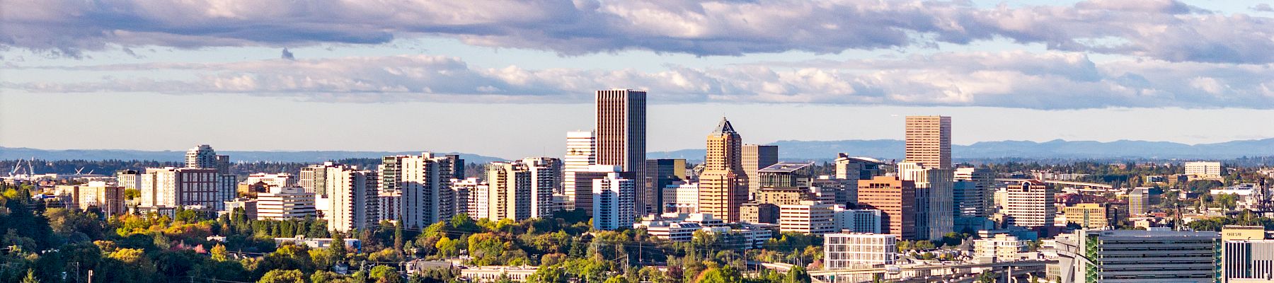 A wide city skyline with tall office towers, tree-filled streets, cars on highways, and a bright blue sky with clouds.