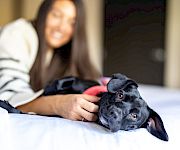 A blurred woman lies on a bed, holding and cuddling a close-up black dog with bright eyes.