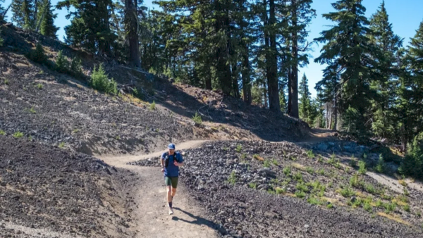 A hiker walks along a dirt trail on a rocky hillside through a tall pine forest, sunny and clear outside.