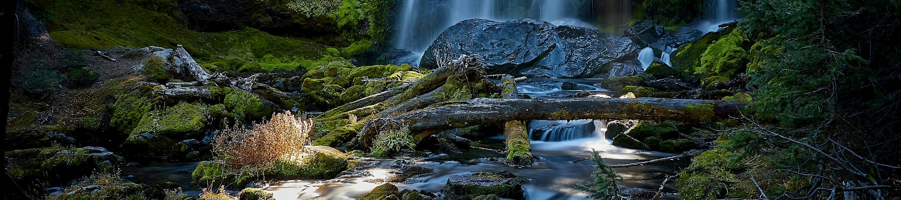A wide forest waterfall cascades over mossy rocks into a calm stream.