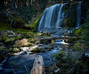 A wide forest waterfall cascades over mossy rocks into a calm stream.