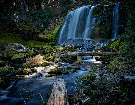 A wide forest waterfall cascades over mossy rocks into a calm stream.