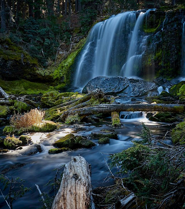 A wide forest waterfall cascades over mossy rocks into a calm stream.