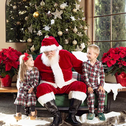 Santa in a red suit chats with two children in plaid during a festive holiday photo by a decorated Christmas tree.